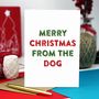 Merry Christmas From The Dog Christmas Card, thumbnail 1 of 2