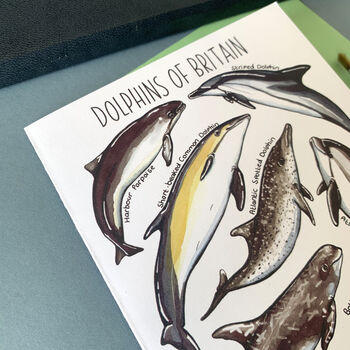 Dolphins Of Britain Greeting Card, 11 of 12
