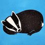 Badger Personalised Hot Water Bottle Cover, thumbnail 6 of 6