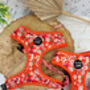 Sweet Marmalade Floral Dog Harness, thumbnail 1 of 4