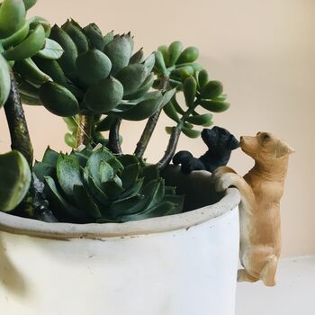 Labrador Pot Hanger, 2 of 3