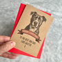 Personalised Staffordshire Bull Terrier Christmas Card, thumbnail 1 of 2