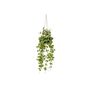 Artificial Ceropegia Hanging Potted Plant, thumbnail 1 of 1