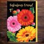 Fabulous Friend Gerbera Flower Card With Gold Type, thumbnail 1 of 2