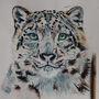 Inky Snow Leopard Canvas Gallery Print, thumbnail 8 of 9
