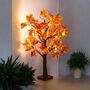 LED Warm White Light Up Maple Leaf Autumn Tree, thumbnail 4 of 9