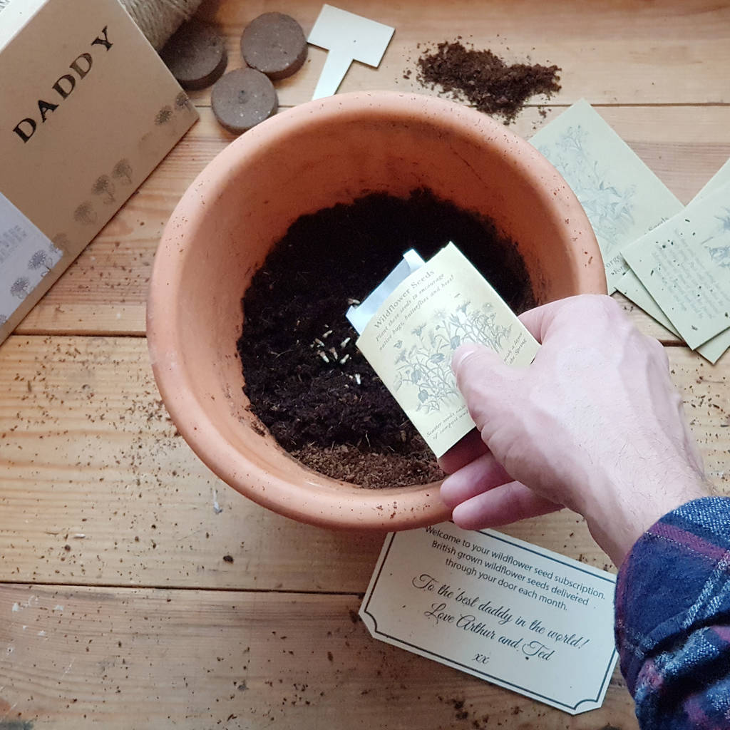 British Seed Subscription, 1 of 4