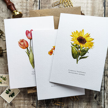 Set Of 10 Different Wildflower Notecards And Envelopes, 7 of 7