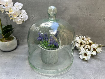Huge 30cm Recycled Glass Cloche Dome Bell Jar, 3 of 8