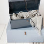 Metal Storage Trunk With Leather Detail, thumbnail 8 of 8