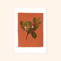 Illustrated Holly Christmas Print, Unframed, thumbnail 2 of 4