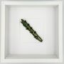 Kitchen Wall Decor: Ceramic Asparagus Wall Art, thumbnail 3 of 3