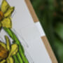 Daffodil Greetings Card, thumbnail 5 of 6
