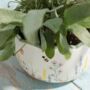 Meadow Floral Planter And Vase, thumbnail 4 of 5