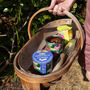 Wildflower Grow Kit With Forget Me Not Or Chamomile Seeds, thumbnail 2 of 10