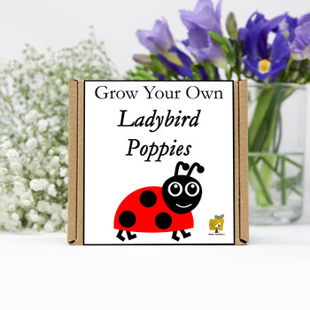 Gardening Gift. Grow Your Own Ladybird Poppies, 2 of 4