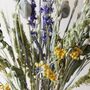 English Countryside Dried Flower Bouquet, thumbnail 5 of 8
