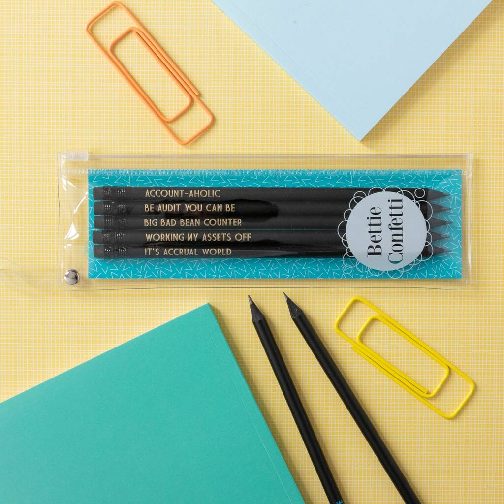 Funny Accountant Pencil Set: Be Audit You Can Be By Bettie Confetti