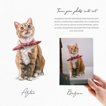 Christmas Gift For Pet Lovers – Personalised Pet Portrait Hand Drawn From Photo, Dog, Cat Or Horse Illustration, 2 of 11