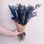 Navy Dried Flower Bunch, thumbnail 1 of 3