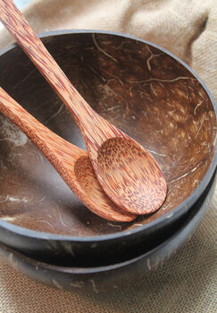 Eco Friendly Coconut And Spoon Gift Set, 6 of 6