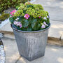 Traditional Grey Metal Bucket Planter, thumbnail 5 of 5
