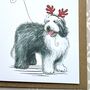 Old English Sheepdog Christmas Card, thumbnail 3 of 3