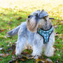 Winter Yetis Adjustable Dog Harness, thumbnail 4 of 7