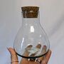 Terrarium Making Bundle, thumbnail 3 of 6
