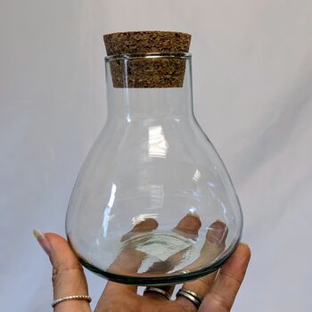 Terrarium Making Bundle, 3 of 6