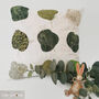 Green With Embroidered Flower Foliage Cushion, thumbnail 2 of 12