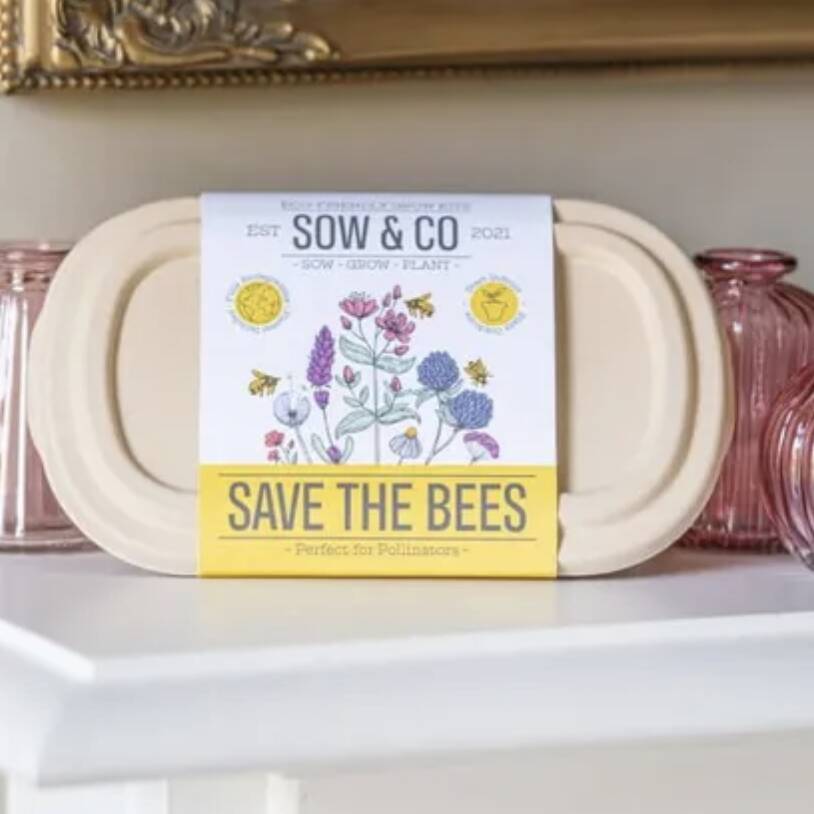 Save The Bees Seed Set, 1 of 5