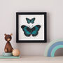 3D Butterfly Wall Art New Baby Boy Gift, thumbnail 1 of 5