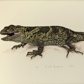 X For Xenosaurus Lizard Illustration Print, 2 of 6