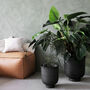 House Doctor Set Of Two Black Iron Planters, thumbnail 1 of 4