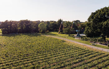 Oastbrook Vineyard Tour And Tasting For Two, 12 of 12