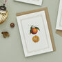Botanist Archive Clementine Christmas Card, thumbnail 1 of 4