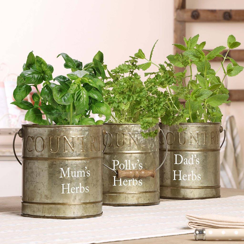 three personalised country kitchen herb pots by dibor