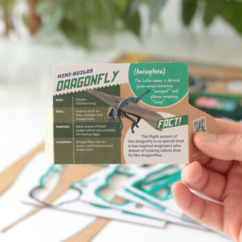 Build Your Own Dragonfly, 7 of 8