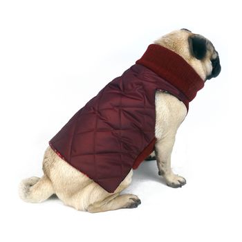 Waterproof And Knitted Quilted Snood Dog Jacket, 6 of 7