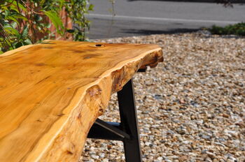 Handcrafted Yew Wood Bench Seat, 3 of 8