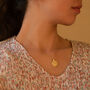 Chunky 14 K Gold Plated Leo Coin Medallion Necklace, thumbnail 7 of 9