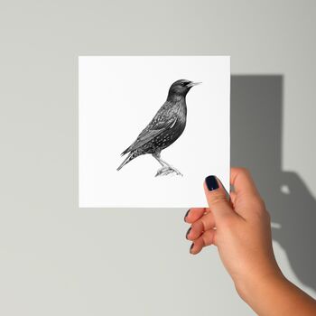 Starling Bird Hand Drawn Greeting Card, 3 of 6