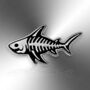 Small Shark Skeleton Hard Enamel Pin Badge, Fishing, Sealife And Marine Gifts, thumbnail 3 of 8