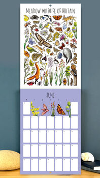 2025 Wildlife Habitats Wall Calendar, 12 of 12