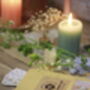 Picnic In The Park | Foliage Paper Chains Kit, thumbnail 2 of 6