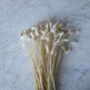 Dried Canary Grass Bouquet, thumbnail 2 of 2