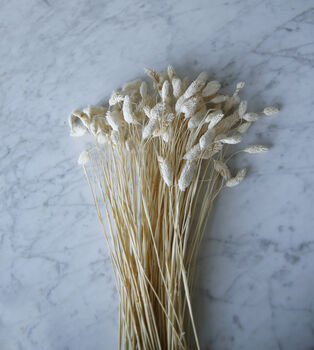 Dried Canary Grass Bouquet, 2 of 2