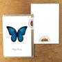 Blue Morpho Butterfly A6 Greetings Cards, thumbnail 3 of 7