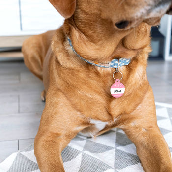 Personalised 'Hello My Name Is' Pet ID Tag, 3 of 9